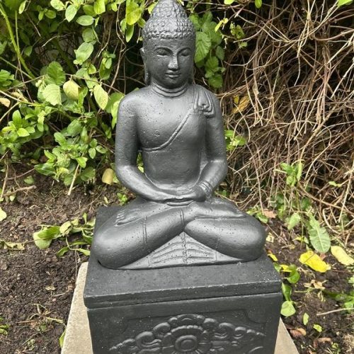 Buddha V2